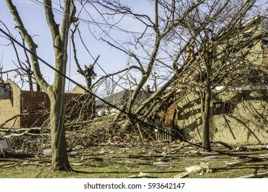 NAPLATE, IL/USA - MARCH 3, 2017: Power And Telephone Lines Hang Helter-skelter Among Bare Trees Blasted By An EF-3 (enhanced Fujita Scale) Tornado That Wreaked Havoc In This Small Town On February 28.