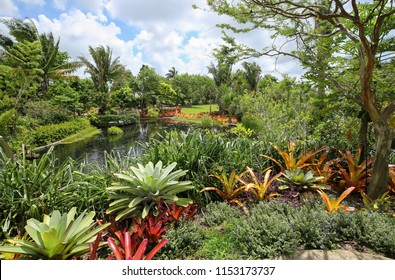 Naples Botanical Gardens Images Stock Photos Vectors Shutterstock