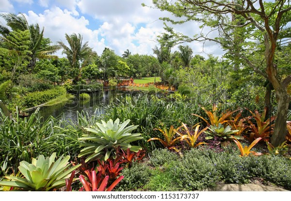 Naples Botanical Garden In Naples Fl Groupon