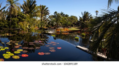 Naples Botanical Gardens Images Stock Photos Vectors Shutterstock