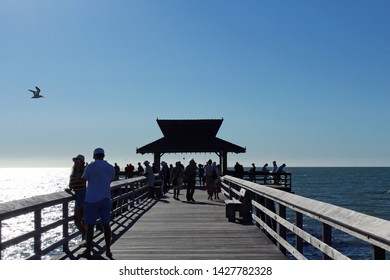 Naples, FL/USA: Feb 28, 2019 - Visitors Gather At Classic Landmark The Pier, Popular For Exquisite Sunsets, As Blazing Sun Begins To Set. A Seagull Flies Nearby In The Cloudless Blue Sky.   