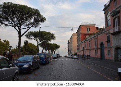 8 Molosiglio gardens Images, Stock Photos & Vectors | Shutterstock