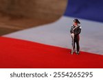 Napoleon figurine against the background of the French flag
