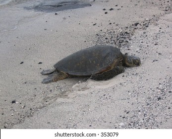 85 Kaloko honokohau national historical park Images, Stock Photos ...