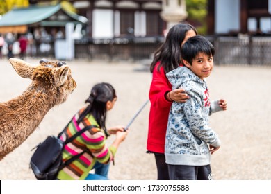 家族日本人外食hd Stock Images Shutterstock