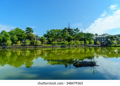 The Nara Park, Japan