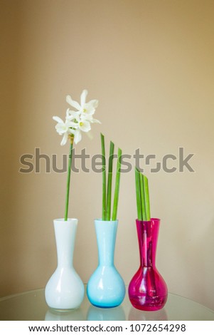 Narcissus ikebana with stem in three colorful vases with reflections
