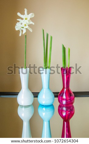 Narcissus ikebana with stem in three colorful vases with reflections