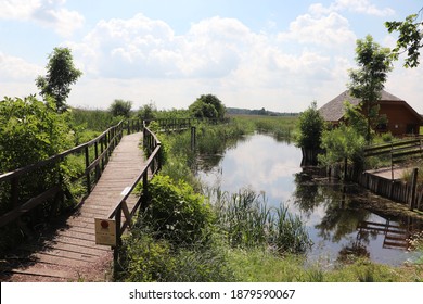 The Narew National Park In Poland