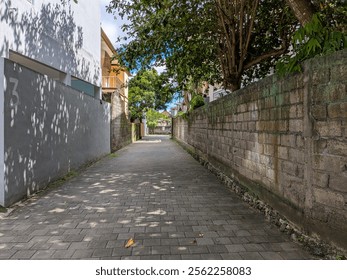 It is a narrow alley with a path made of paving blocks. The alley is flanked by two walls on the left and right sides. - Powered by Shutterstock