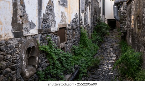 A narrow alley with weathered stone walls, overgrown greenery, and rustic architectural details, creating a picturesque and historic urban scene. - Powered by Shutterstock