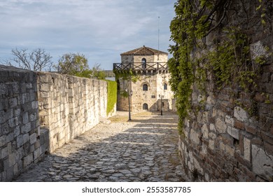 Narrow alleyway with a stone wall and a building in the background. The wall is covered in vines and the alleyway is lined with cobblestones - Powered by Shutterstock