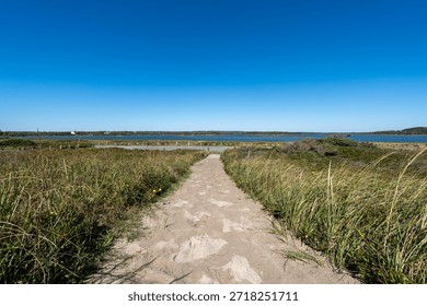 A narrow beach access path winds through tall grass at Martinique Beach in Nova Scotia, leading toward the Atlantic under a deep steel-blue sky.
