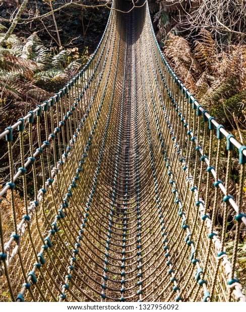 a narrow bridge made of ropes, straps across the\
groove in an old park; tourist rope bridge through an overgrown\
place in the forest