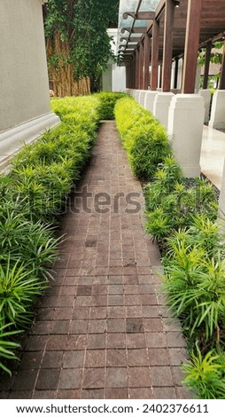 narrow brown square-tiled path hugged by greenery, a white wall, and wooden collumns