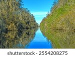 Narrow Channel Through Cypress Swamp in the Okefenokee National Wildlife Refuge in Georgia