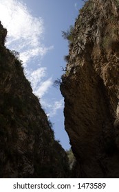 Narrow Cleft