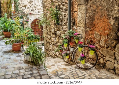 Narrow cobbled street with flowers in the old village Tourrettes-sur-Loup , France. - Powered by Shutterstock