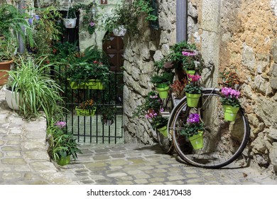 Narrow cobbled street with flowers in the old village Tourrettes-sur-Loup at night, France. - Powered by Shutterstock