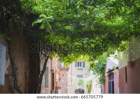 Narrow cobbled streets lined by ancient houses in Trastevere district of Rome in June, Rome, Italy. 