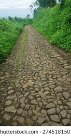 Narrow Cobblestone Path Through Lush Green Hillside Landscape                               