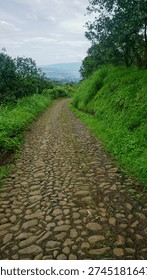  Narrow Cobblestone Path Through Lush Green Hillside Landscape                              
