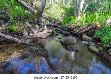 Narrow creek running through Nordic forest, Fallen trees covered with moss, few round boulders in the stream, light green fern on the shores. Smooth surface of the flowing water, blue sky reflecting.