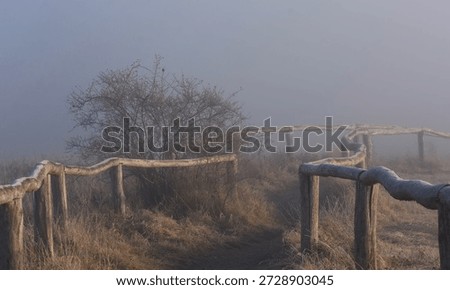 A narrow dirt path curves between rustic wooden railings, disappearing into fog among dry grasses and leafless shrubs, suggesting a peaceful viewpoint hidden by mist.