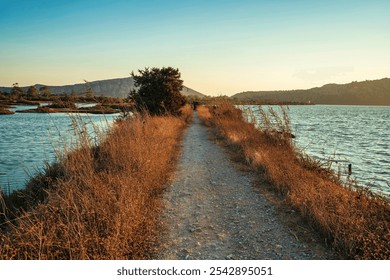 Narrow dirt path lined with dry grasses alongside Gialova Lagoon, Greece, under warm sunset light, capturing a peaceful Mediterranean landscape. - Powered by Shutterstock