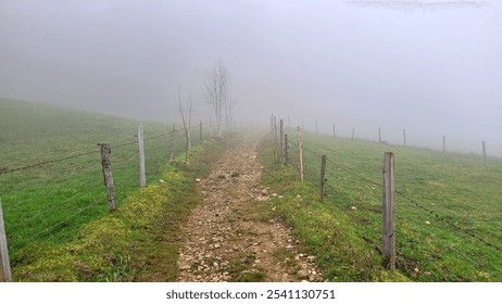 A narrow dirt path winds through a foggy countryside, flanked by weathered wooden posts and rusty barbed wire. The heavy mist envelops the scene, creating an air of mystery and seclusion. The lush gre - Powered by Shutterstock