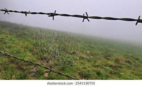 A narrow dirt path winds through a foggy countryside, flanked by weathered wooden posts and rusty barbed wire. The heavy mist envelops the scene, creating an air of mystery and seclusion. The lush gre - Powered by Shutterstock