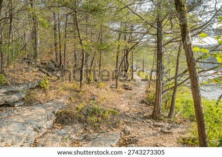 Narrow dirt path winds through dense pine forest toward scenic lakeside overlook with rocky terrain and autumn foliage.