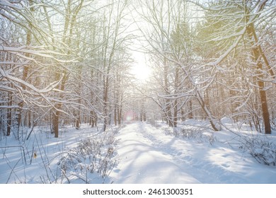 A narrow footpath trampled in deep snow. Walking trail in the winter forest. Empty, calm background on the theme of winter hiking in nature. - Powered by Shutterstock