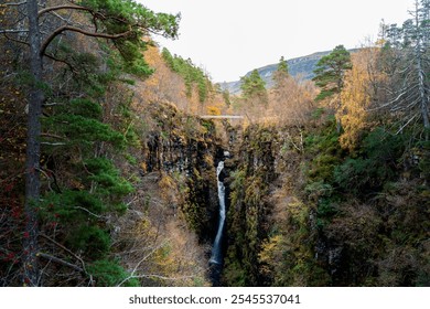 A narrow forest stream flows deep in a ravine, with a hanging bridge visible in the distance amidst lush greenery.
 - Powered by Shutterstock