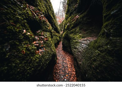 Narrow Moss-Covered Canyon Path Lined with Autumn Leaves – A Mysterious Forest Walk - Powered by Shutterstock