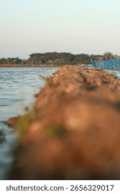 A narrow, muddy path separates two bodies of water, leading towards distant trees under a clear sky. The scene captures a tranquil, rural landscape with a focus on natural elements