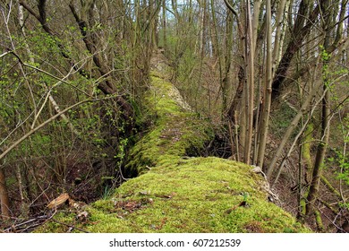 
narrow path