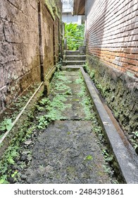 Narrow path between two buildings with bright green moss on weathered concrete sidewalk
