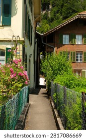 a narrow path between vegetable gardens, old chalets, a narrow passageway