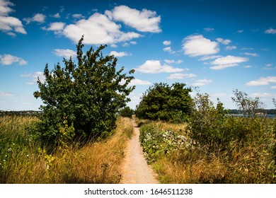 A Narrow Path Into The Beautiful Nature Of Denmark