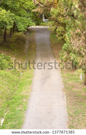 Similar – Foto Bild Natur Sand Herbst Wald