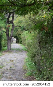 narrow path to the Lorelei statue in  Mittelrheintal
