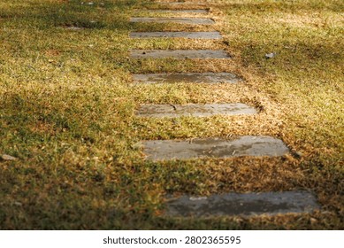 A narrow path of rectangular stone pavers recedes into soft focus across dry grass, warm golden light casts gentle shadows, texture contrasts suggest quiet passage