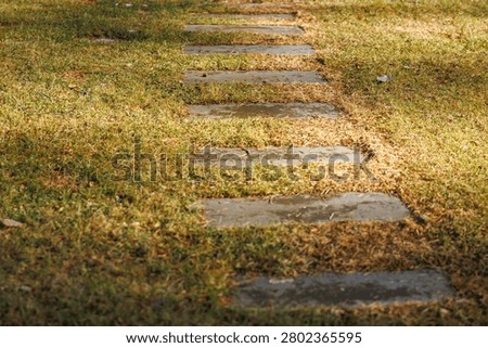 A narrow path of rectangular stone pavers recedes into soft focus across dry grass, warm golden light casts gentle shadows, texture contrasts suggest quiet passage