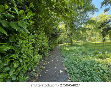 A narrow path threads through lush green foliage beneath a clear blue sky, sunlight drifting through the leaves and settling into a quiet, tranquil hush near Heaton, Bradford, Yorkshire, UK