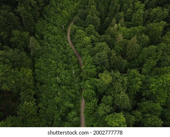 Narrow path through dense coniferous protected forest to beautiful waterfalls on a mountain river in the Carpathians mountains, aerial summer view. 