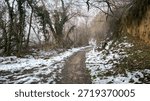 narrow path through the forest in the winter