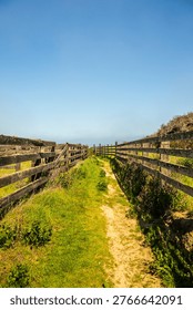 Narrow Path Through Old Ranch Corral On Santa Rosa Island in Channel Islands National Park