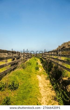 Narrow Path Through Old Ranch Corral On Santa Rosa Island in Channel Islands National Park