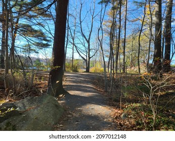 A Narrow Path Through The Wilderness On A Clear Day.